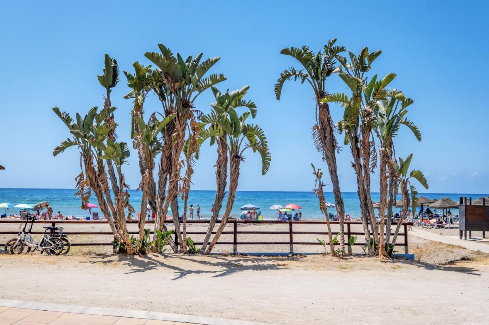 Rincon Beach - Biznaga Rental Homes Рінкон-де-ла-Вікторія Екстер'єр фото